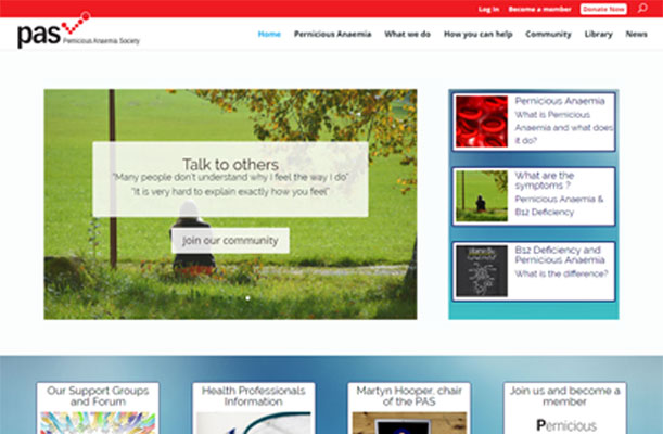 The New Website