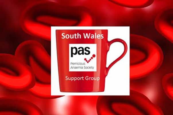 Handheld Hb Monitor & south Wales Support Group Meeting